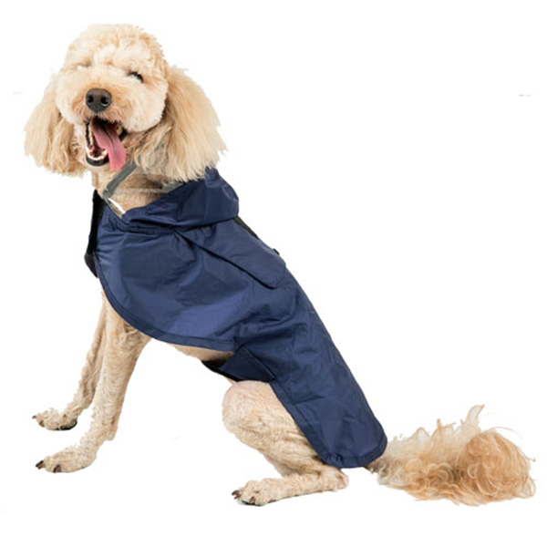 7ac5e45ec256c4ea001004c1e4e3faa5_1532418